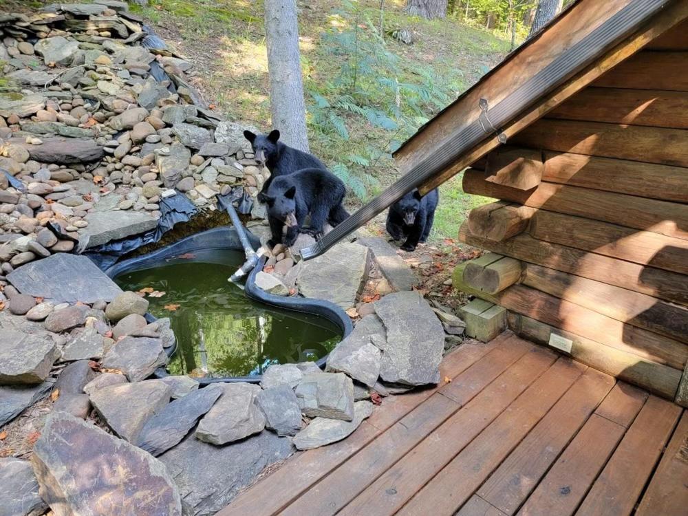 Very Private, Real Log Cabin With Hot Tub! Sevierville Ngoại thất bức ảnh