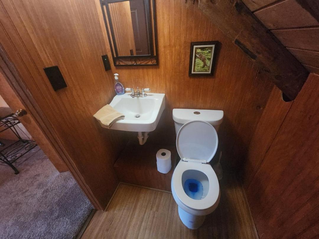 Very Private, Real Log Cabin With Hot Tub! Sevierville Ngoại thất bức ảnh